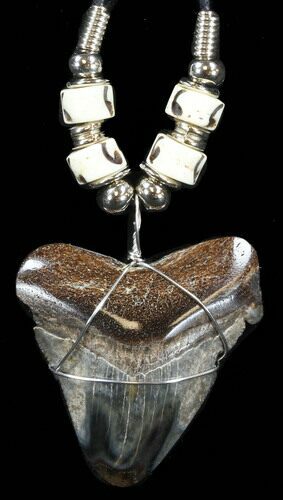 Serrated Polished Megalodon Tooth Necklace #38546